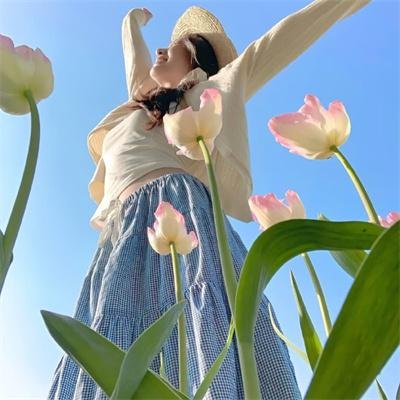 人类之巅3 封面